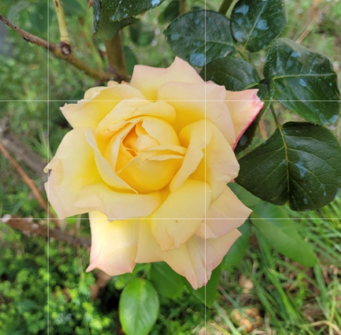 Screenshot_20220930-082615_Photo-Editor